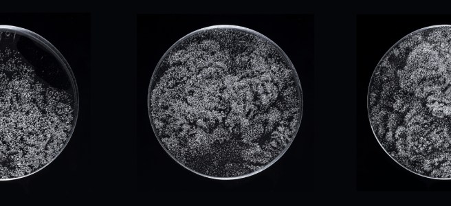 Three views of Eruption by Anne Vibeke Mou