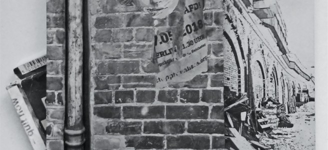 Pipedream by Rolf Wojciechowski