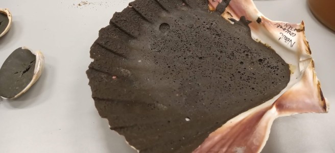 Katherine Renton's workshop