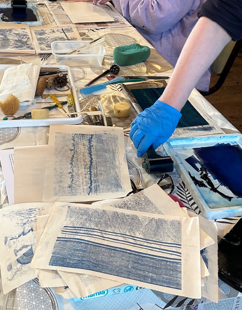 A selection of Hannah Forsyth monoprints