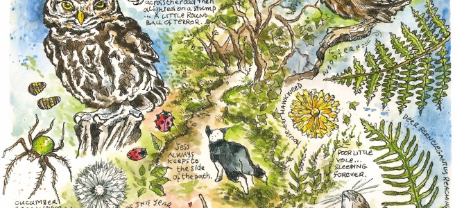 Detail from one of Steve Pardue's nature journals