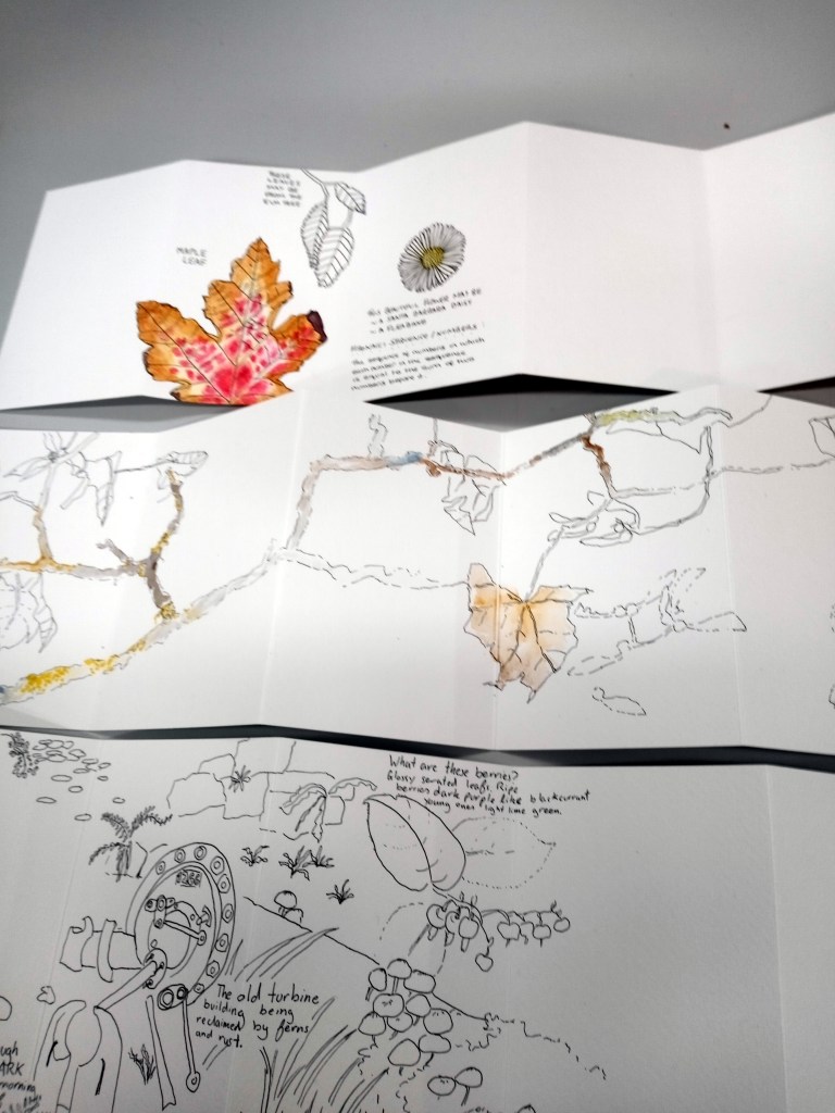 Some of Steve Pardues nature journal work