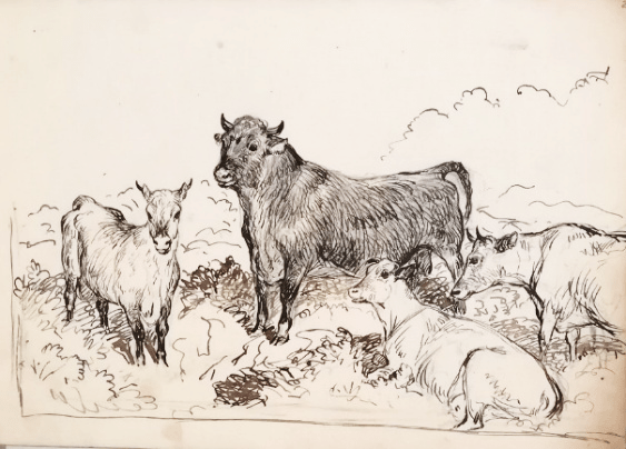 Image from one of John Charltons sketchbooks