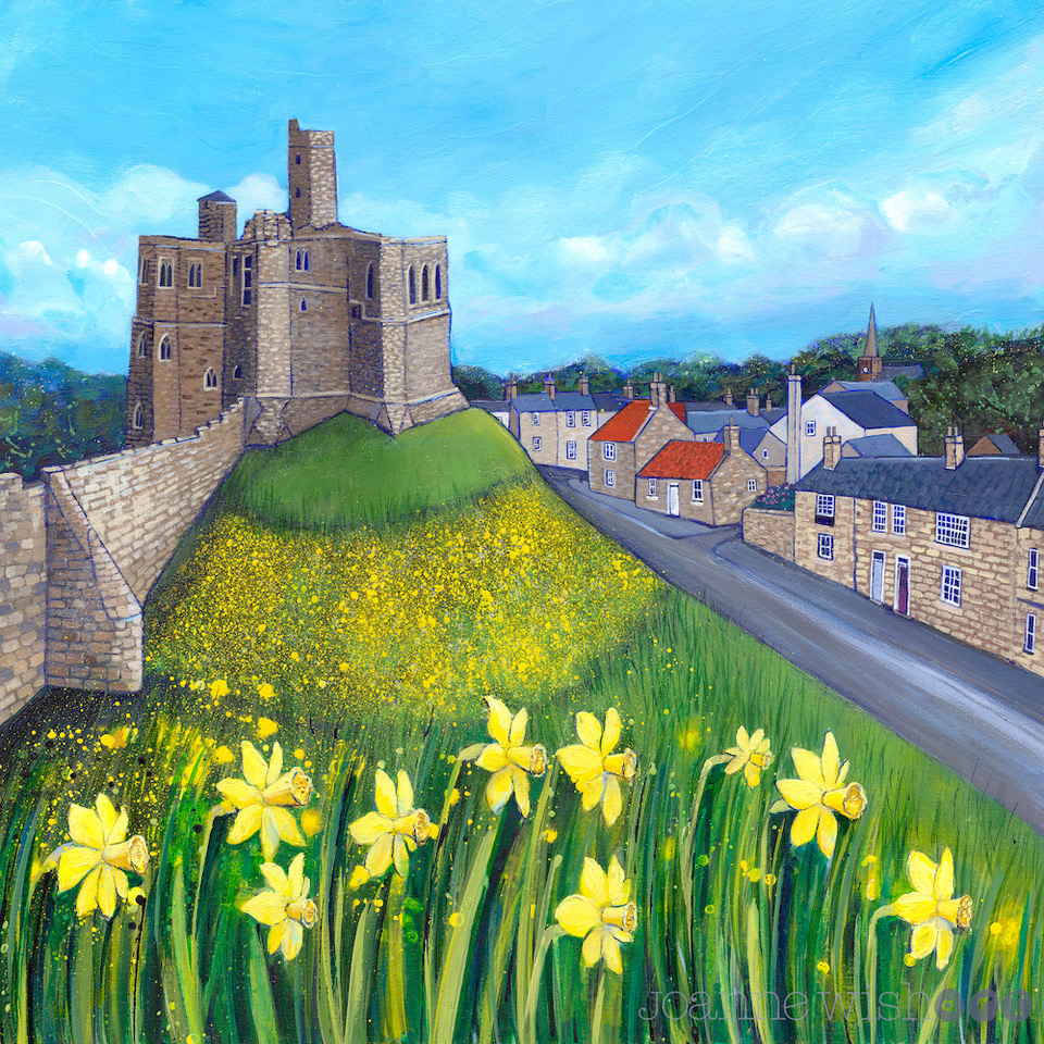 Warkworth - Spring - Daffodils - by joanne wishart